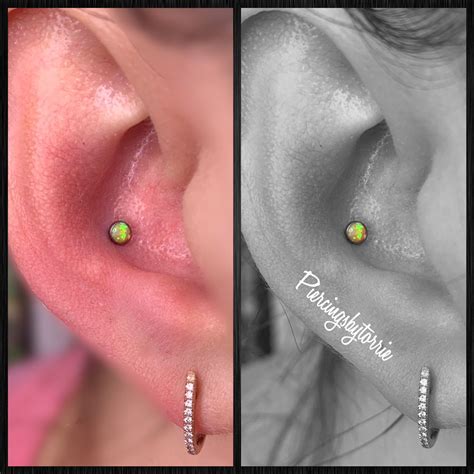 piercings by torrie  3,020 likes · 46 talking about this · 66 were here